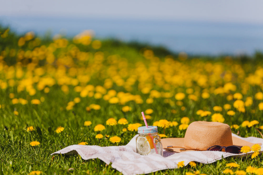Wann ist der erste Sommertag 2024? Überprüfen!