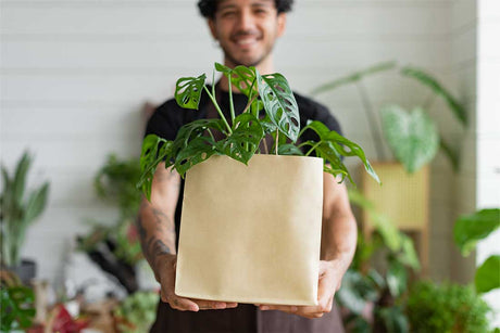 5 grundlegende Vorteile der Verwendung von Papiertüten - AllBags