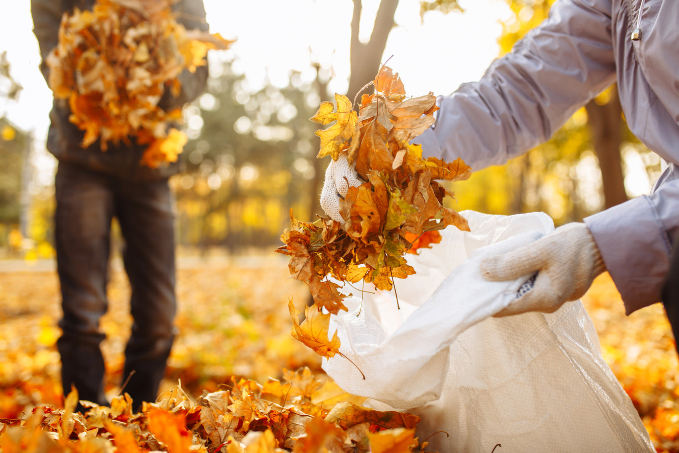 Herbst im Garten – Bereiten Sie Ihren Garten auf den Herbst vor – praktische Tipps