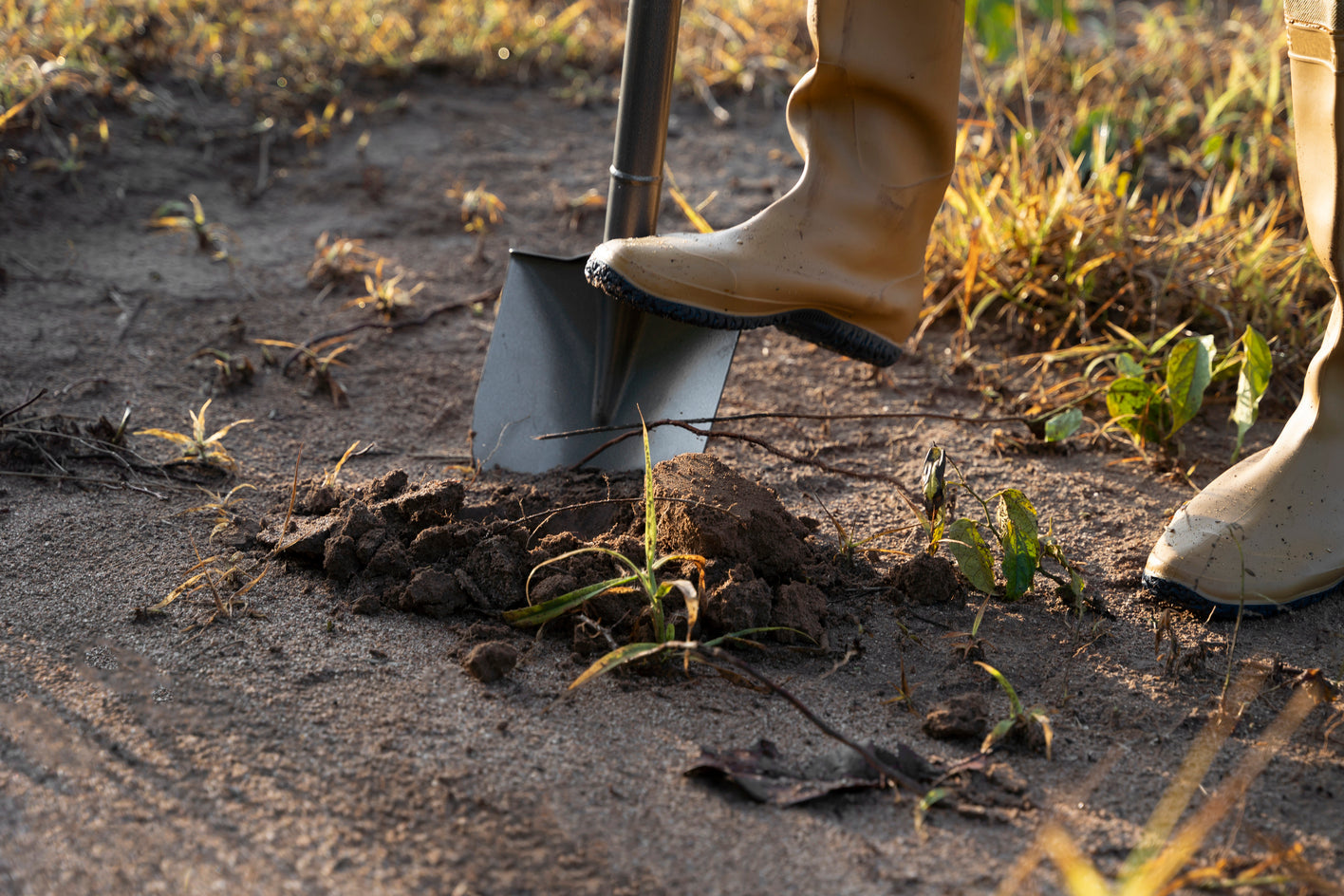 Gartengeräte – was muss man haben? Ihre zuverlässigen Helfer in einem schönen Garten