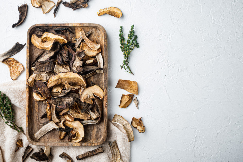 Pilze im Kühlschrank trocknen. Schauen Sie sich die neue Methode an!