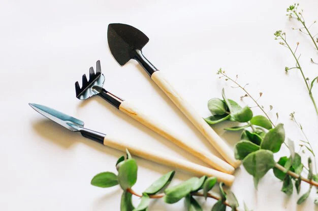 Wenn Sie gerade erst mit der Gartenarbeit beginnen, ist es wichtig, dass Sie über grundlegende Werkzeuge verfügen, die Ihnen die Arbeit erleichtern und Ihren Garten in perfektem Zustand halten.