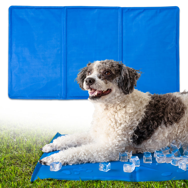 Blau Kühlmatte für Hunde und Katzen
