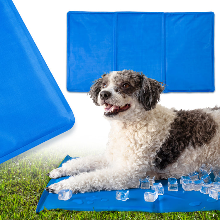Blau Kühlmatte für Hunde und Katzen
