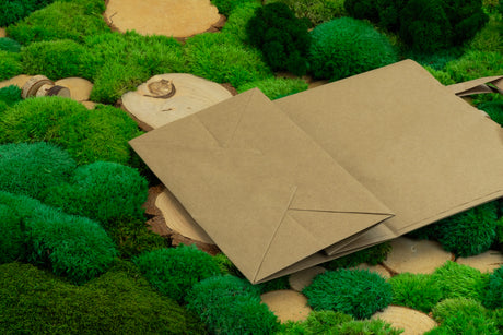 Papiertüte mit flachem Griff 260x140x300mm Braun