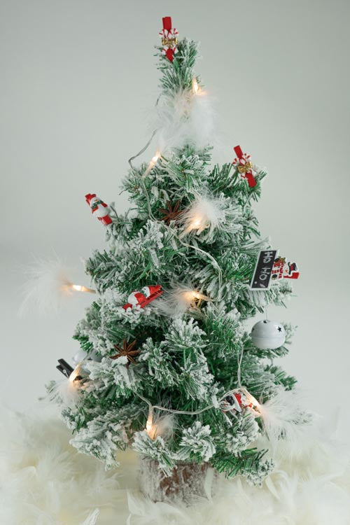 Kleiner Weihnachtsbaum, schneebedeckt KIEFER