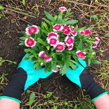 Gartenhandschuhe Mit Krallen