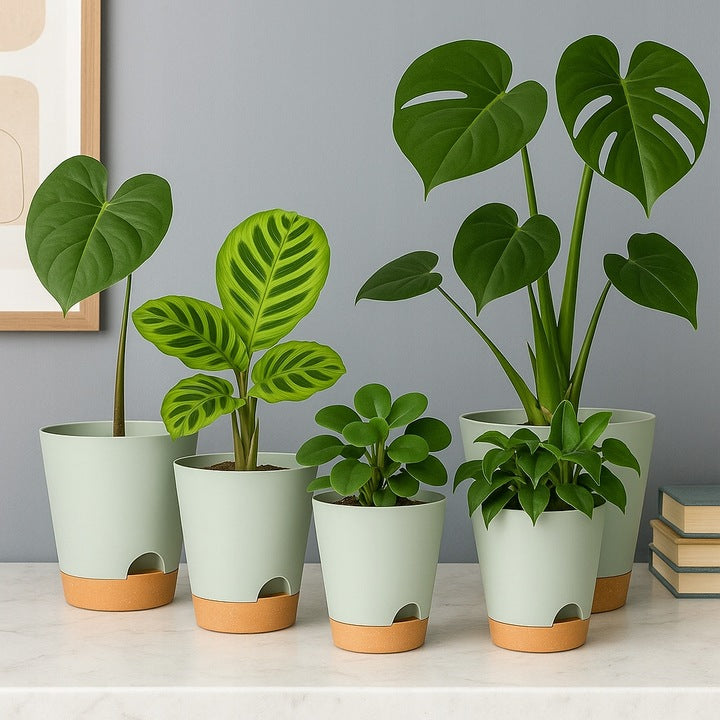 Selbstbewässernde Töpfe