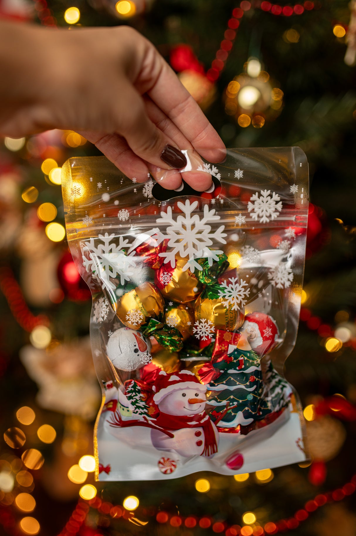 Weihnachts-Reißverschlussbeutel, 20 Stück.