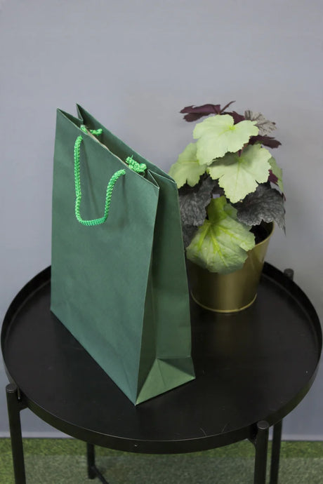 Papiertüte ECO Prestige 300x100x400mm Dunkelgrün