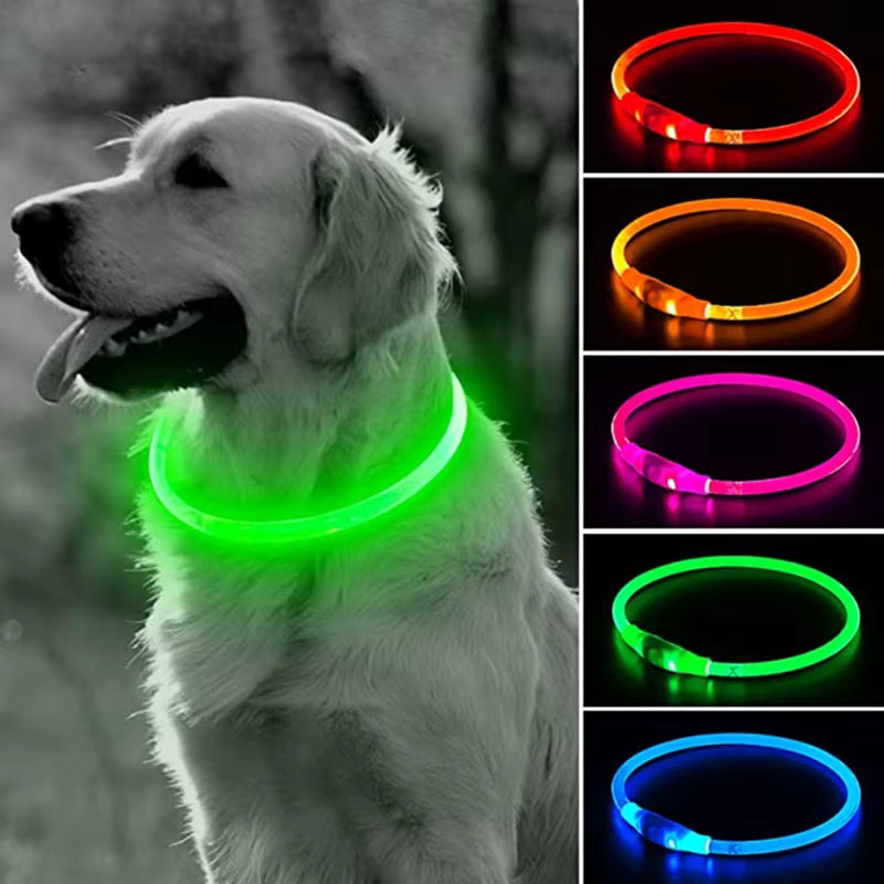 LED-Halsband für Hund oder Katze