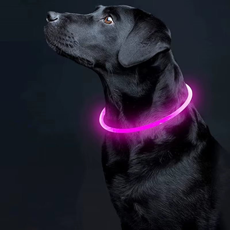 LED-Halsband für Hund oder Katze
