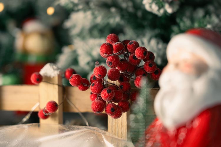 Kleine rote Eberesche