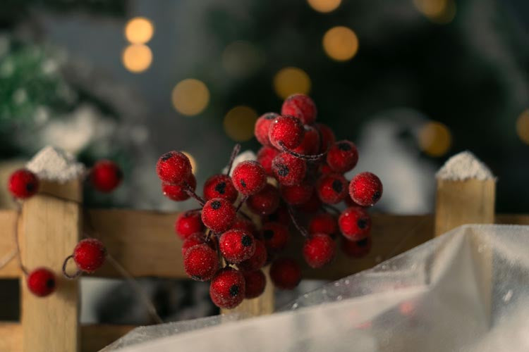 Kleine rote Eberesche