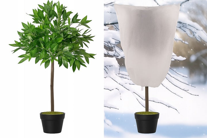 Winterschutzhaube für Pflanzen aus Agretextile