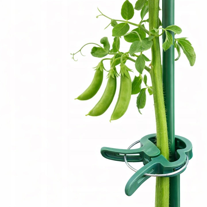 Garten-Pflanzenclips 60 Stk.