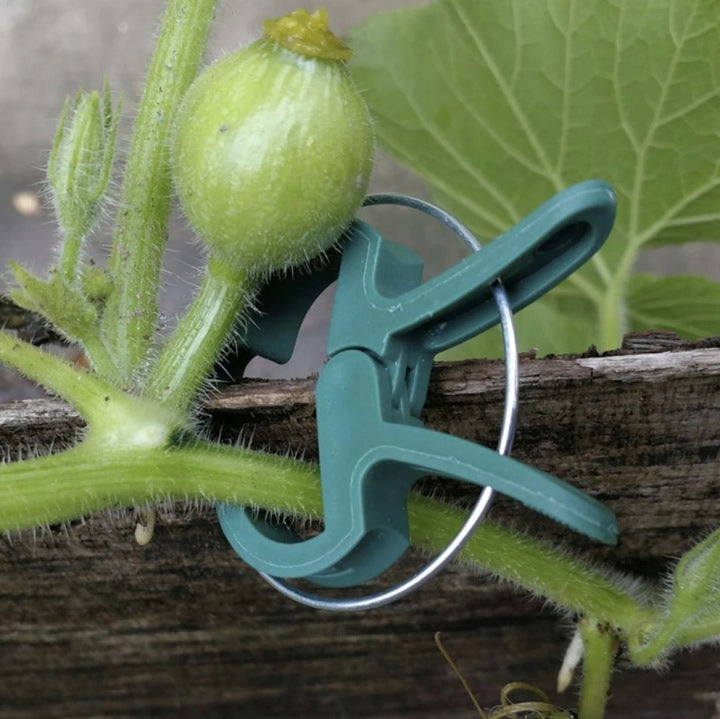 Garten-Pflanzenclips 60 Stk.