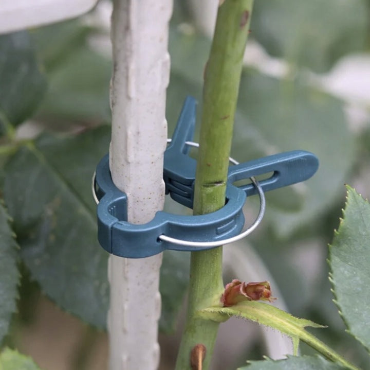 Garten-Pflanzenclips 60 Stk.