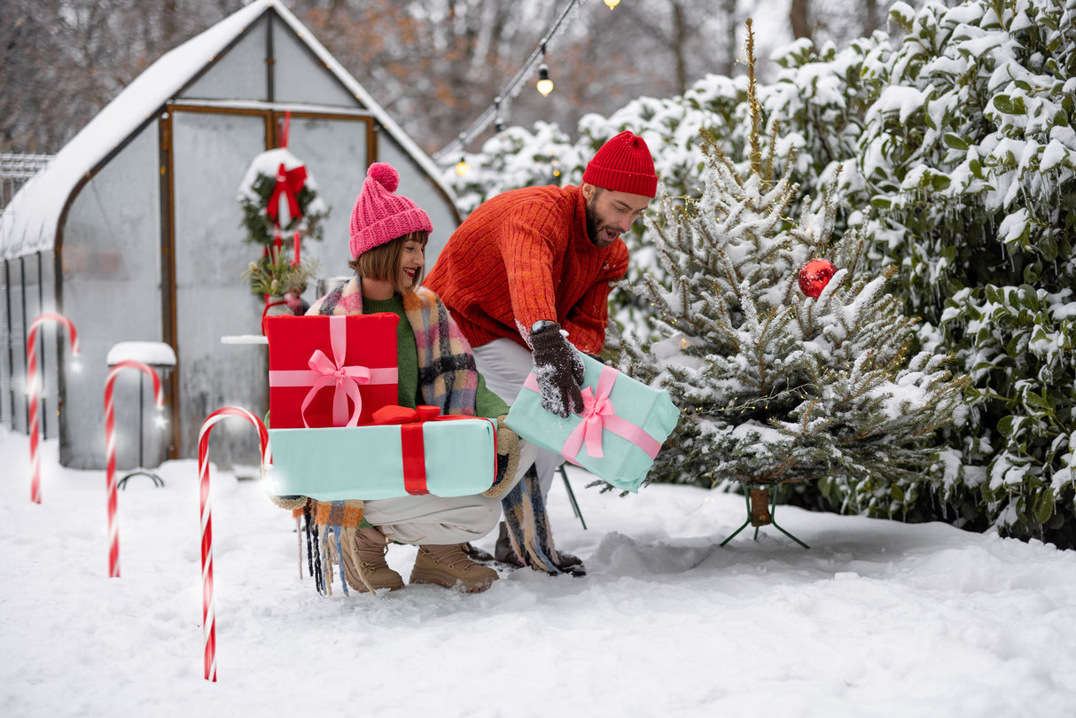 Solar Weihnachtsbeleuchtung Zuckerstangen LED 12er Set