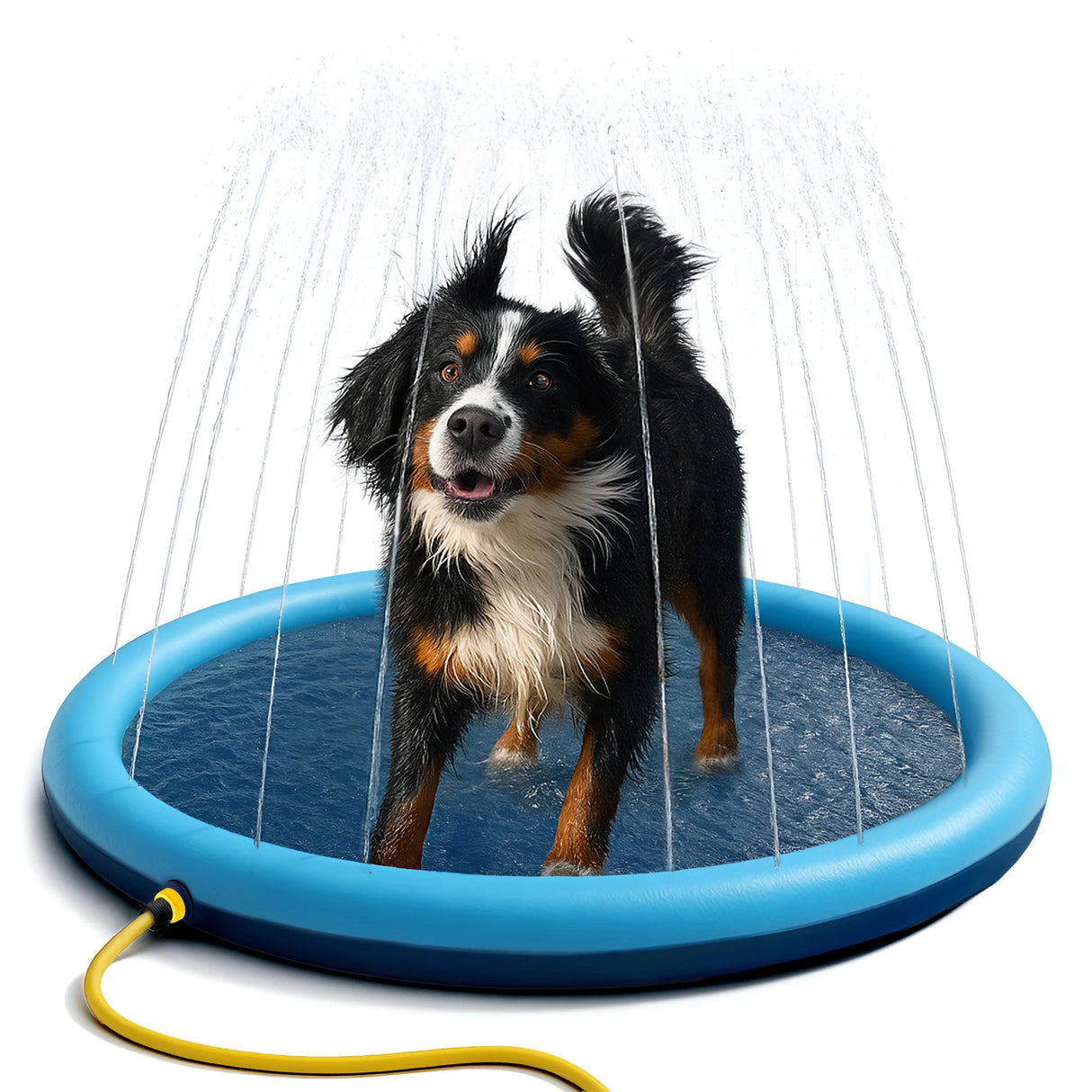 Garten Wasserspielmatte mit Sprinkler für Hunde und Kinder – 170 cm