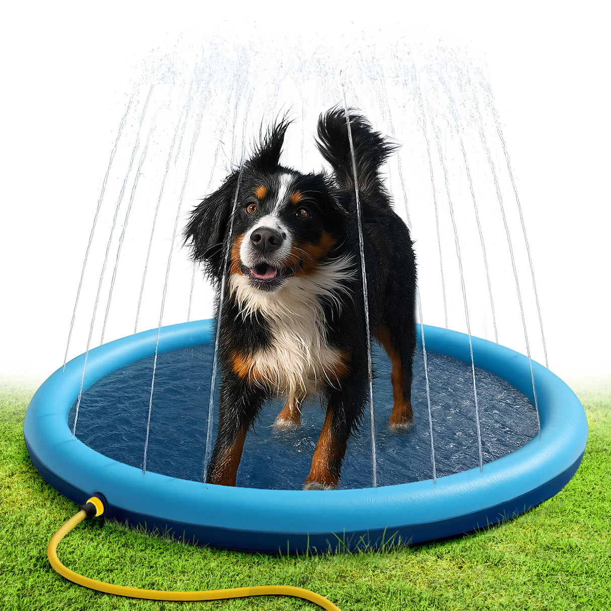 Garten Wasserspielmatte mit Sprinkler für Hunde und Kinder – 170 cm