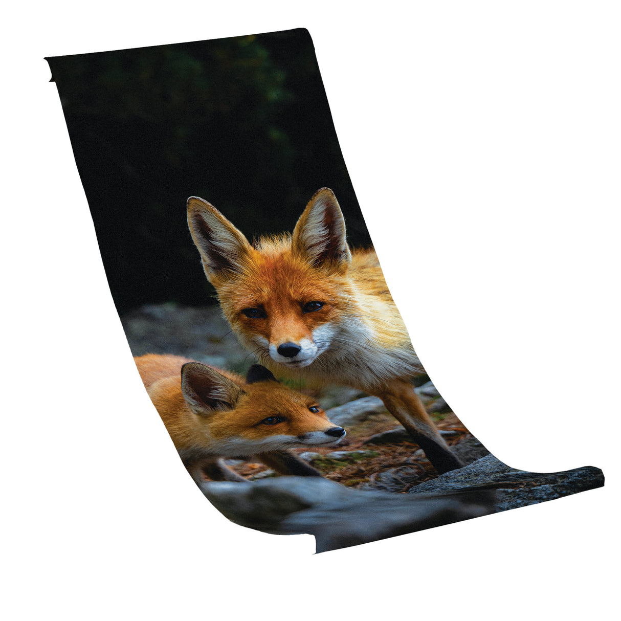 Liegestuhlbezug FÜCHSE