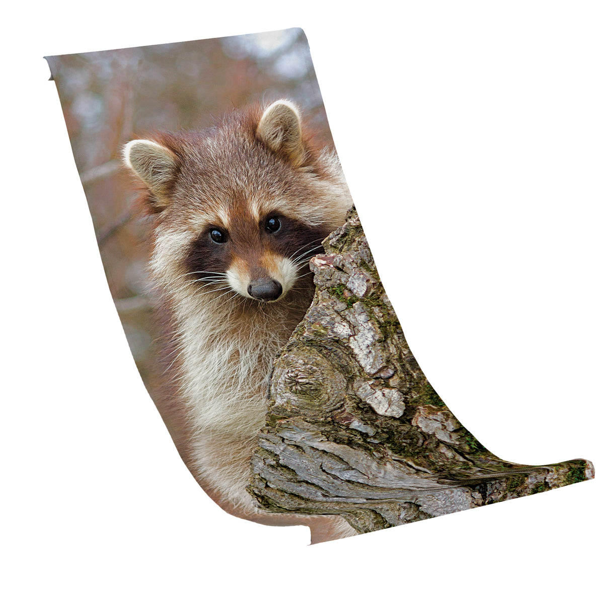 Liegestuhlbezug WASCHBÄR