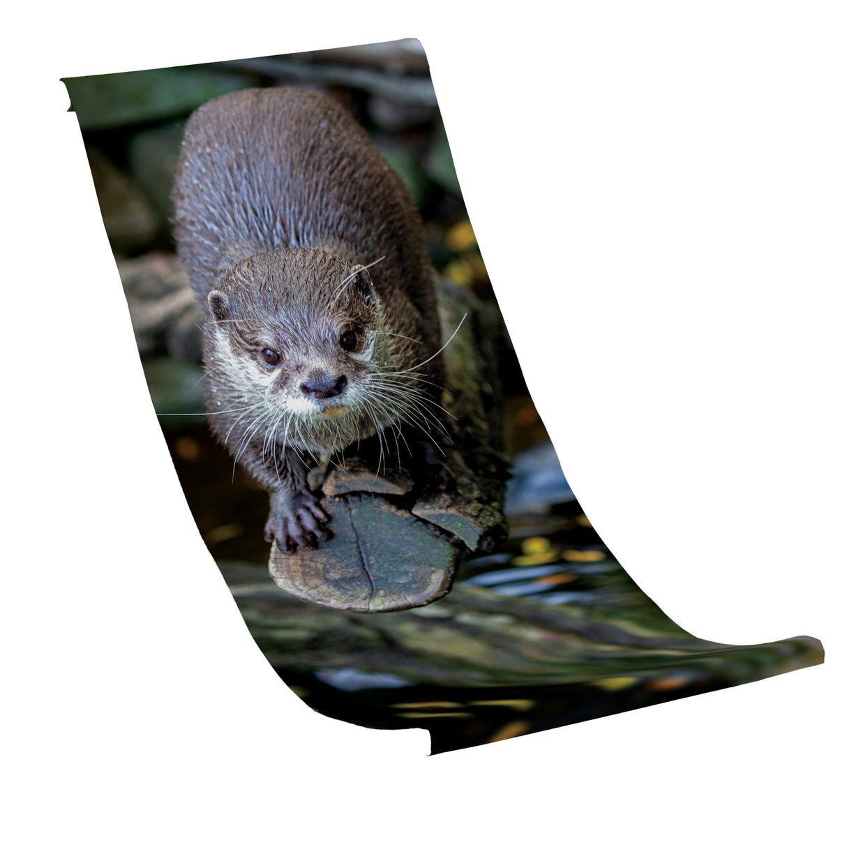 Liegestuhlbezug OTTER