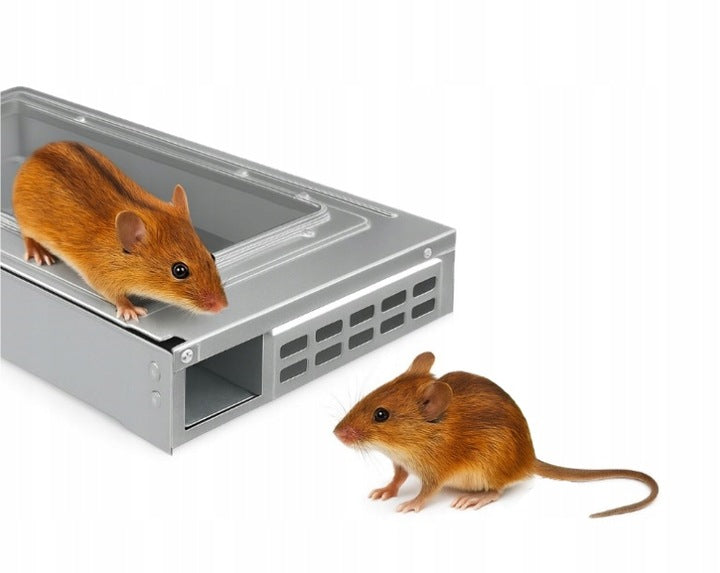 Humanitäre Metallnagetierfalle