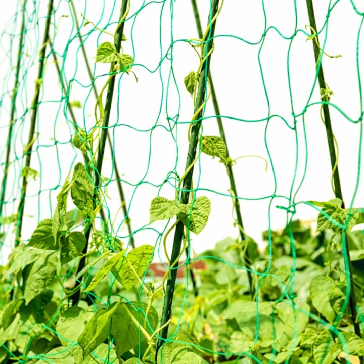 Gartennetz 1,5x10 m für Gurken und Kletterpflanzen