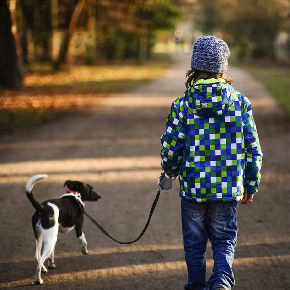 Automatik Hundeleine 5m – Für Hunde bis 15 kg