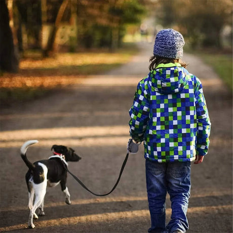 Automatik Hundeleine 5m – Für Hunde bis 15 kg