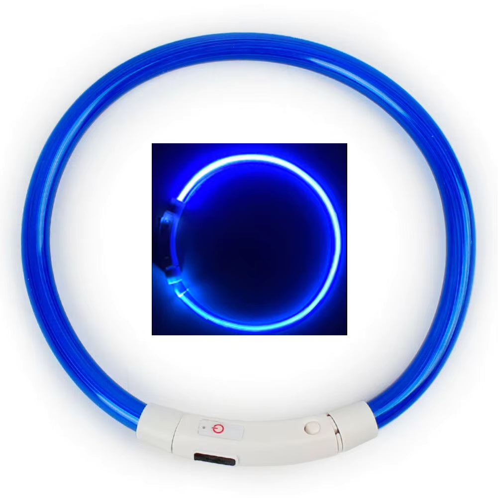 LED-Halsband für Hund oder Katze
