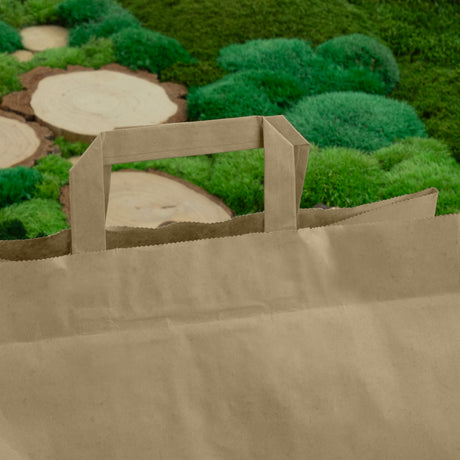 Papiertüte mit flachem Griff 320x220x245mm Braun