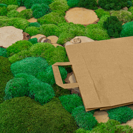 Papiertüte mit flachem Griff 320x220x245mm Braun