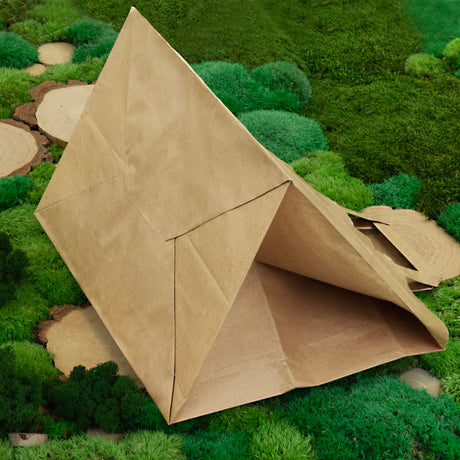 Papiertüte mit flachem Griff 320x220x245mm Braun