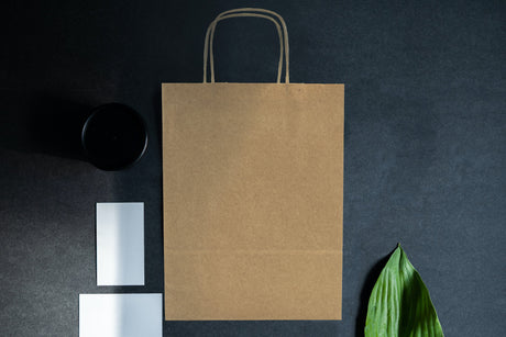 Papiertüte mit gedrehtem Griff 240x100x320mm Braun