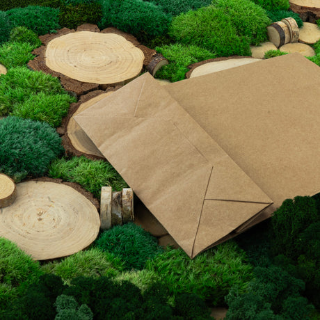 Papiertüte mit gedrehtem Griff 240x100x320mm Braun