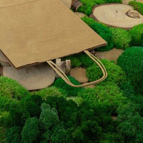 Papiertüte mit gedrehtem Griff 240x100x320mm Braun