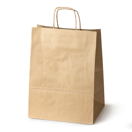 Papiertüte mit gedrehtem Griff 300x170x425mm Braun
