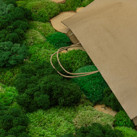 Papiertüte mit gedrehtem Griff 400x180x390mm Braun