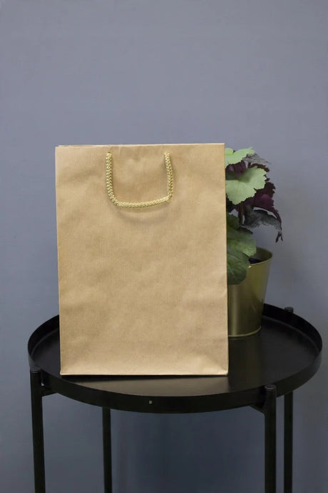 Papiertüte eco prestige Braun 240x90x320mm