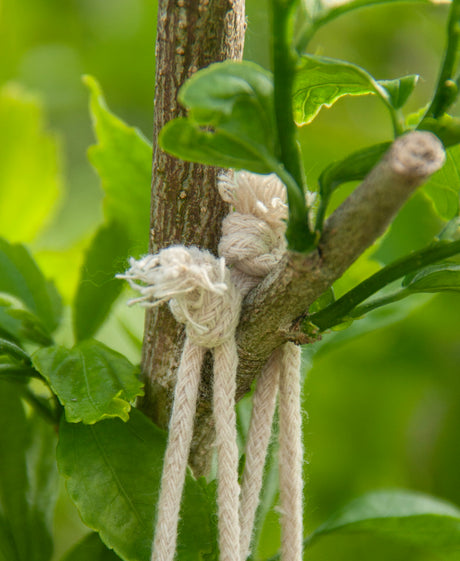 Baumwollsack Ecru 250x300 mm