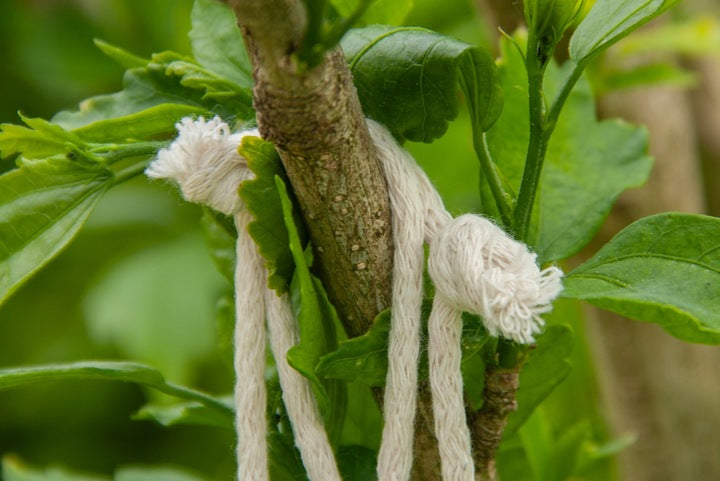 Baumwollsack Ecru 150x200 mm 260g