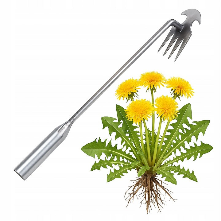 Entfernung von Garten Unkraut