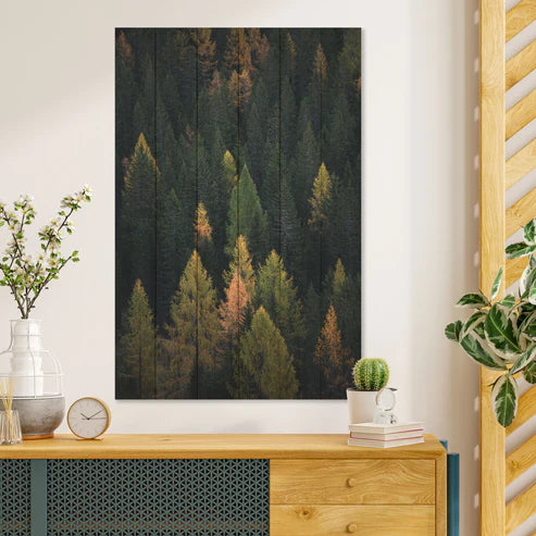 Wanddeko Holz - Coniferous Forest