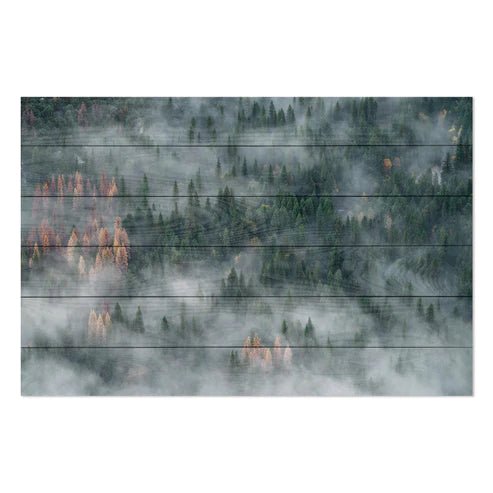 Wanddeko Holz - Forest After Rain