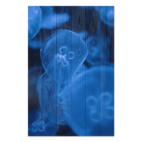 Wanddeko Holz - Medusa