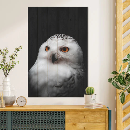 Wanddeko Holz - Owl Portrait