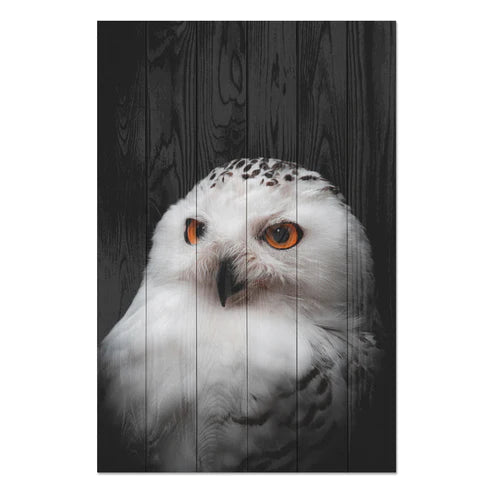 Wanddeko Holz - Owl Portrait